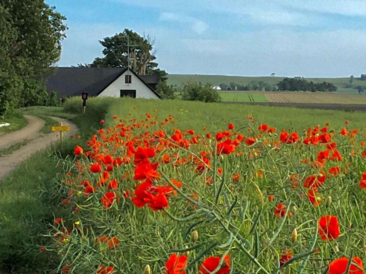 Wingardhs B&B Oesterlen Löderup Exteriér fotografie